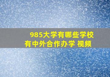 985大学有哪些学校有中外合作办学 视频